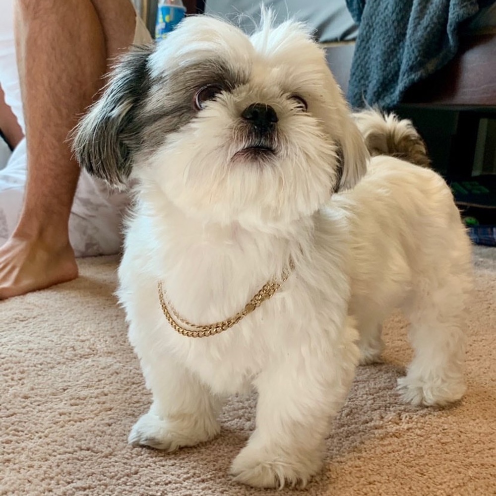 Meet your Posher, Breyton